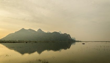 关于菩提树下唯美句子集锦60句