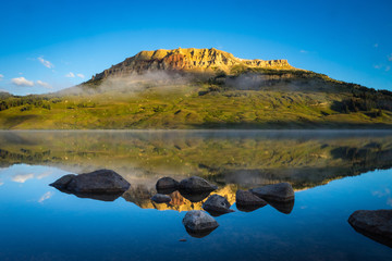 关于菩提树下唯美句子集锦60句