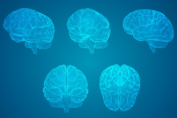 北京故宫的导游词