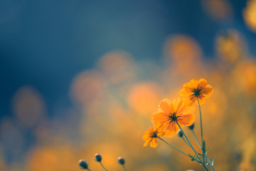 初一必读书目有哪些