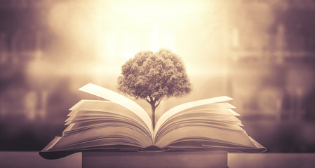 房产证和房地产证有何区别？