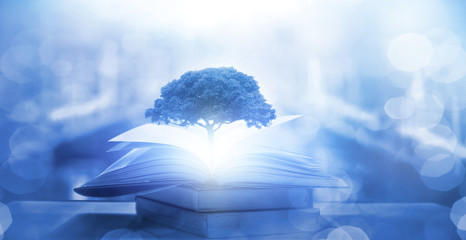 看似说了话又没有用的废话文学(精选40句)