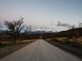 关于菩提树下唯美句子集锦60句