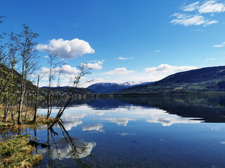 看似说了话又没有用的废话文学(精选40句)