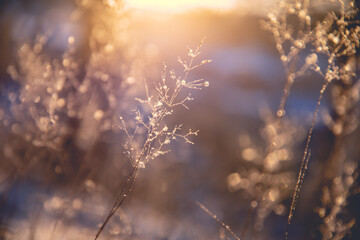 二十四节气科普小知识