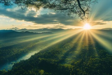 关于菩提树下唯美句子集锦60句