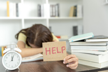 北京故宫的导游词