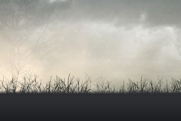 生活中的气象小知识？