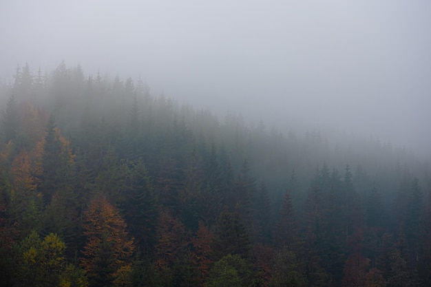 二十四节气科普小知识
