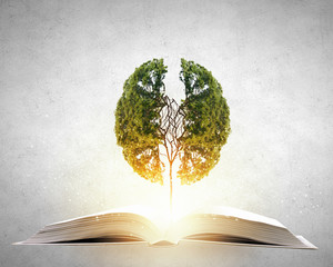 房产证和房地产证有何区别？