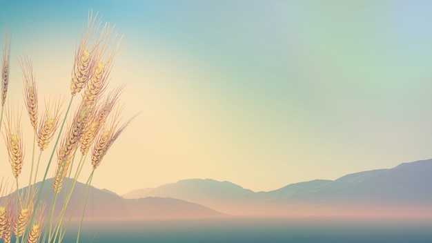 关于菩提树下唯美句子集锦60句