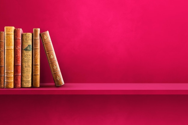 关于菩提树下唯美句子集锦60句