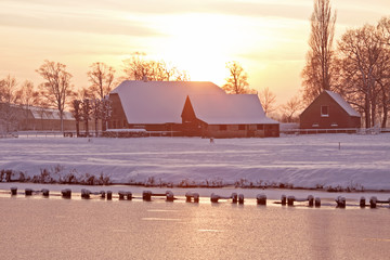 有关植树造林保护环境的谚语
