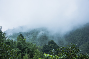 心理学对我们的生活有帮助吗？